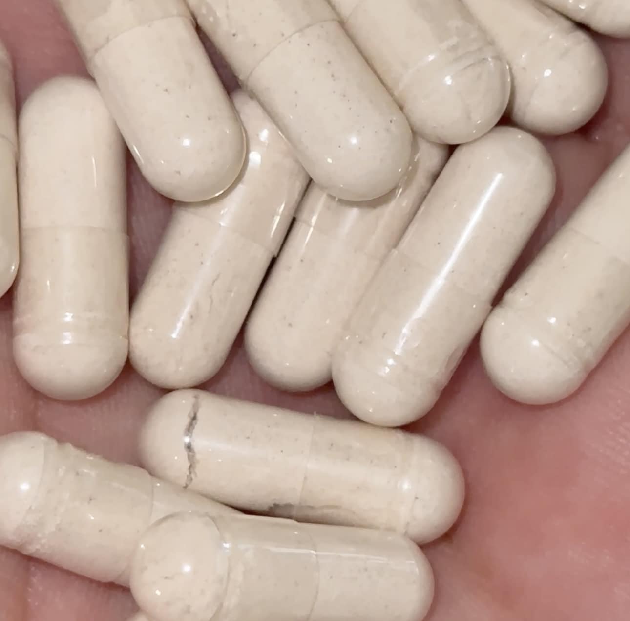 90 Day Supply Tejocote Capsules
